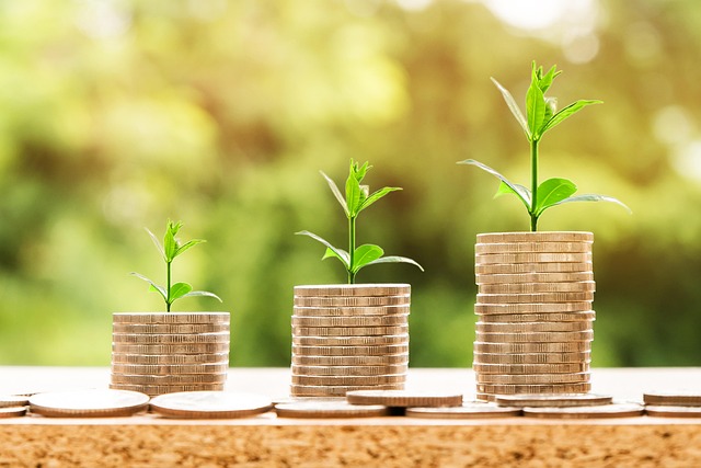 Money and finance representing business profit
