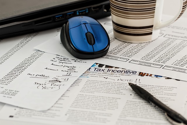 US federal income tax forms and paperwork